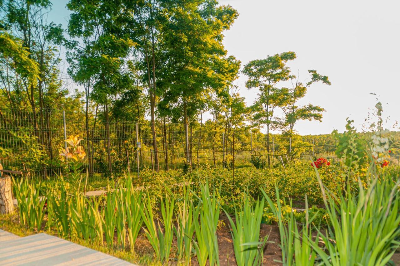 Pensiunea Agroturistica Valentino Costinesti Luaran gambar
